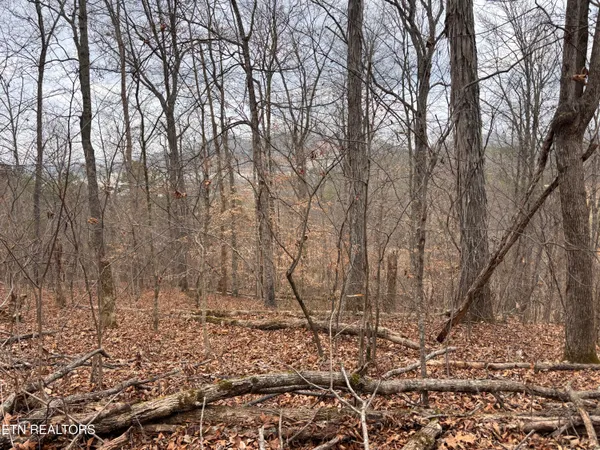 $85,000 | Mcgaha Hollow Road, Dandridge, TN 37725