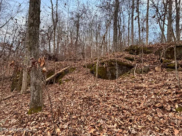 $85,000 | Mcgaha Hollow Road, Dandridge, TN 37725