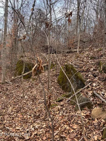 $85,000 | Mcgaha Hollow Road, Dandridge, TN 37725