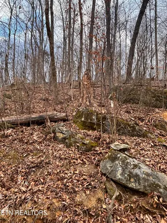 $85,000 | Mcgaha Hollow Road, Dandridge, TN 37725