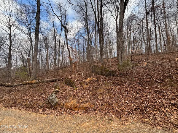 $85,000 | Mcgaha Hollow Road, Dandridge, TN 37725