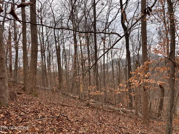 $85,000 | Mcgaha Hollow Road, Dandridge, TN 37725