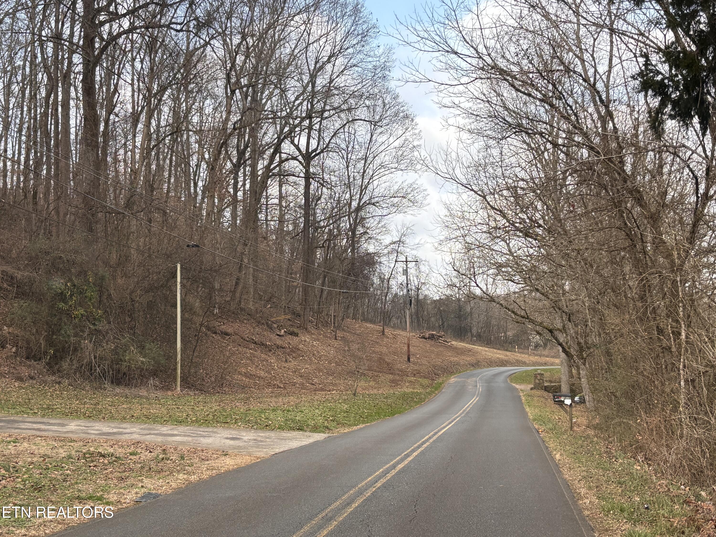 Mcgaha Hollow Road Dandridge, TN 37725 - Photo 9 of 17 IMG_3472