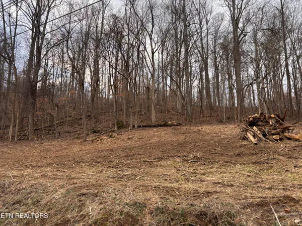 $85,000 | Mcgaha Hollow Road, Dandridge, TN 37725