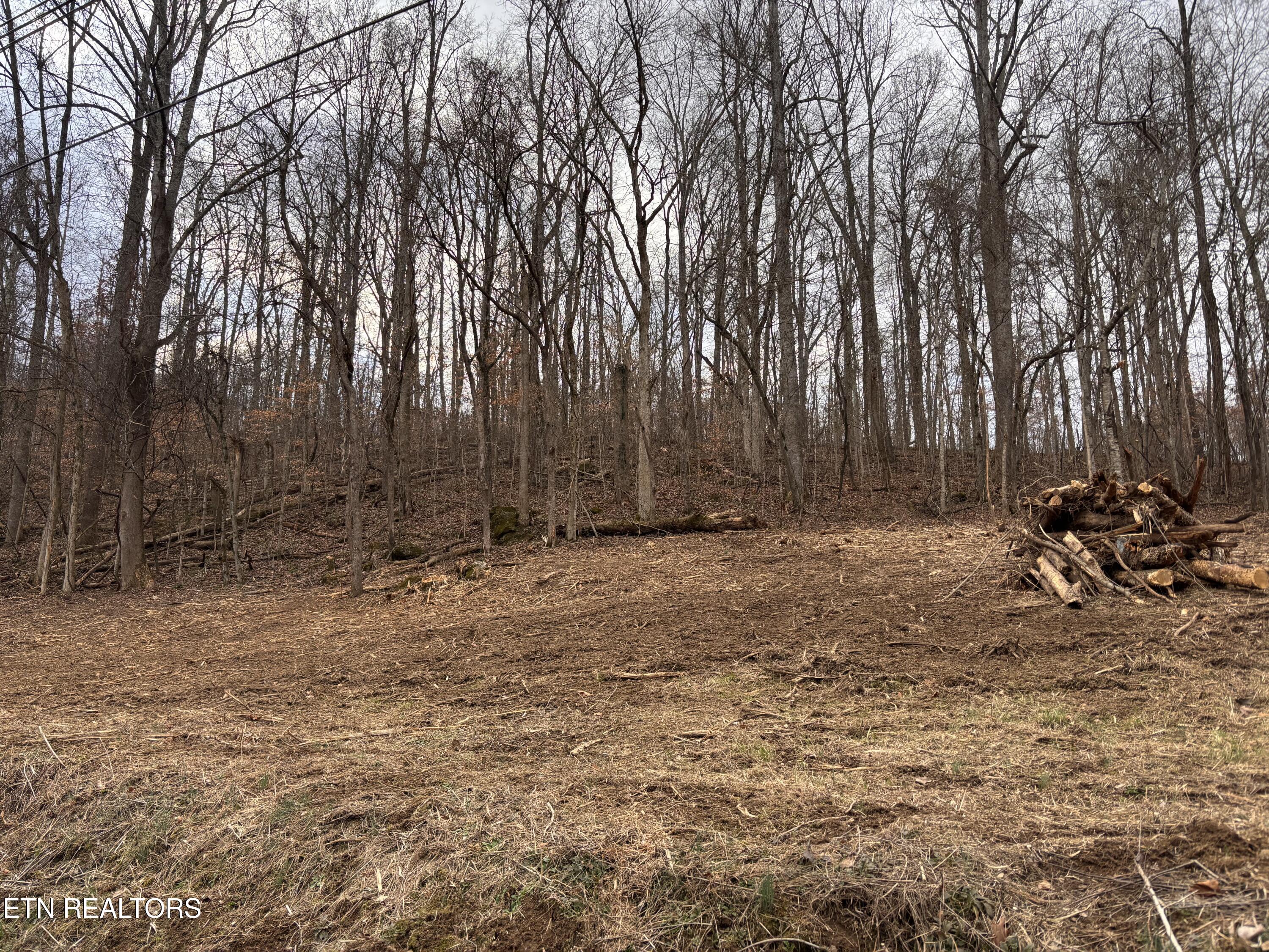 Mcgaha Hollow Road Dandridge, TN 37725 - Photo 10 of 17 IMG_3469