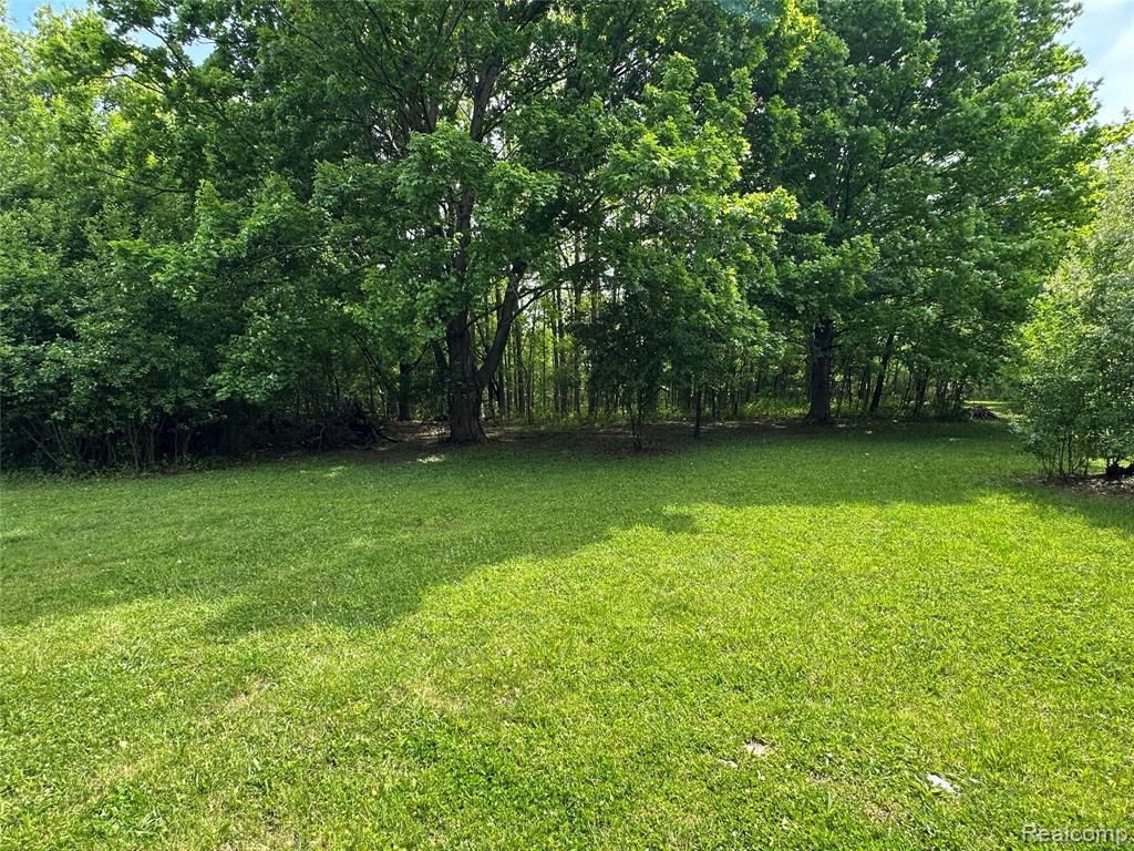 6161 East River Road Flushing, MI 48433 - Photo 34 of 63