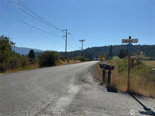 a view of a road with a yard