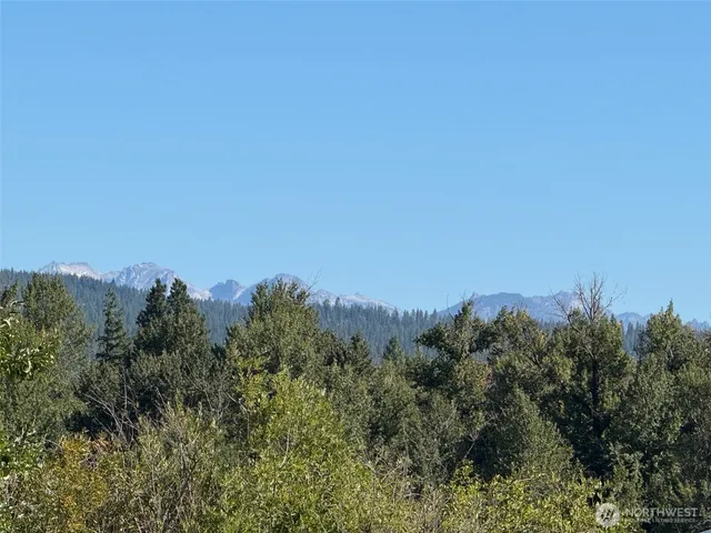 a view of lake and tree