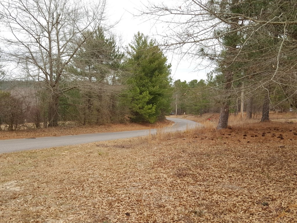 415 Taylor Pond Road North Augusta, SC 29860 - Photo 3 of 3