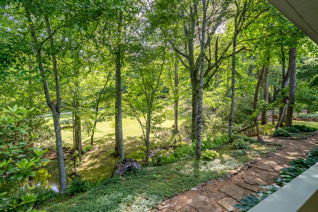 724 Fish Cove Road Blairsville, GA 30512 - Photo 43 of 91 Gallery Image 43