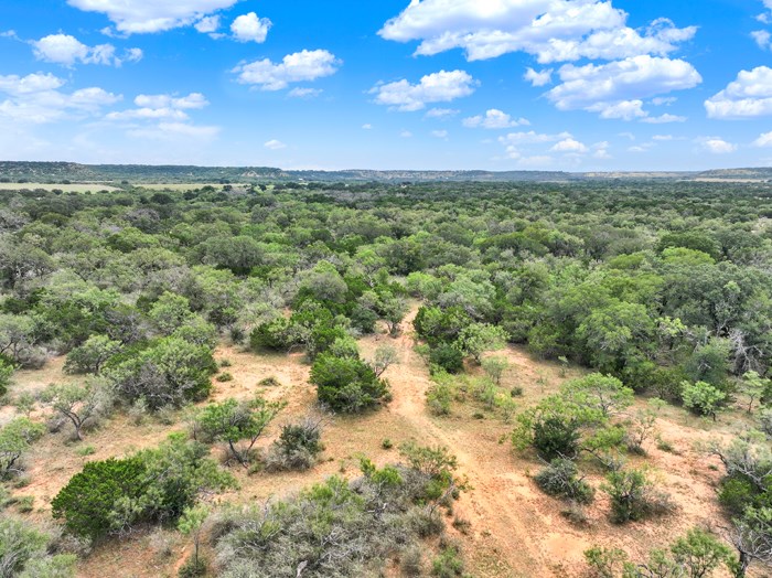 159 Mormon Creek Road Doss, TX 78618 - Photo 29 of 29