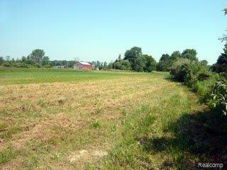 8933 Division Road Casco, MI 48064 - Photo 13 of 25 P1030061Summer 2010
