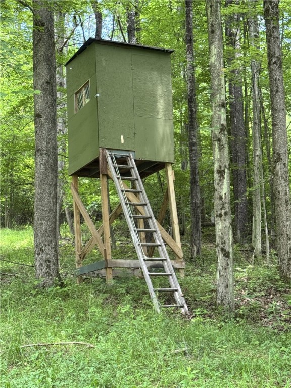 1029 Barden Brook Road Eldred, PA 16731 - Photo 4 of 49