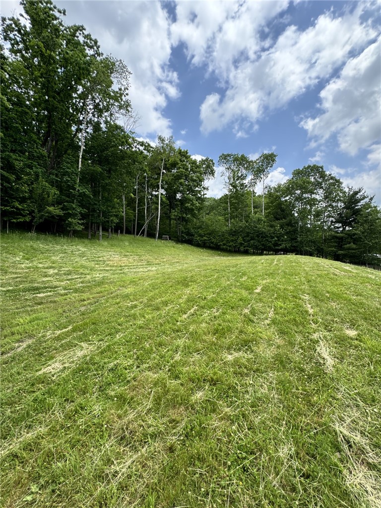 1029 Barden Brook Road Eldred, PA 16731 - Photo 44 of 49