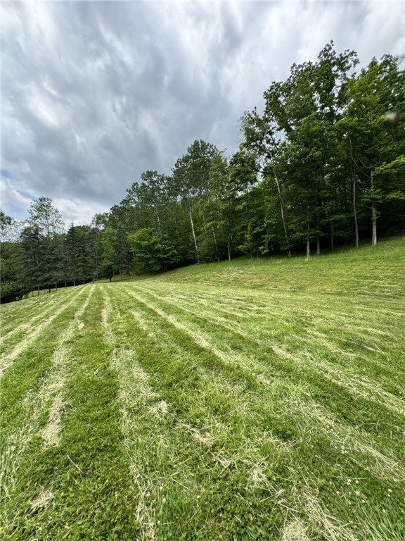 1029 Barden Brook Road Eldred, PA 16731 - Photo 45 of 49