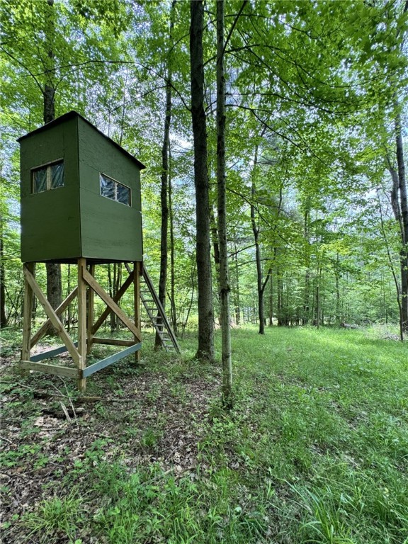 1029 Barden Brook Road Eldred, PA 16731 - Photo 46 of 49