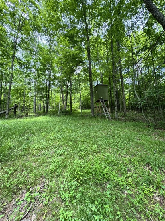 1029 Barden Brook Road Eldred, PA 16731 - Photo 48 of 49