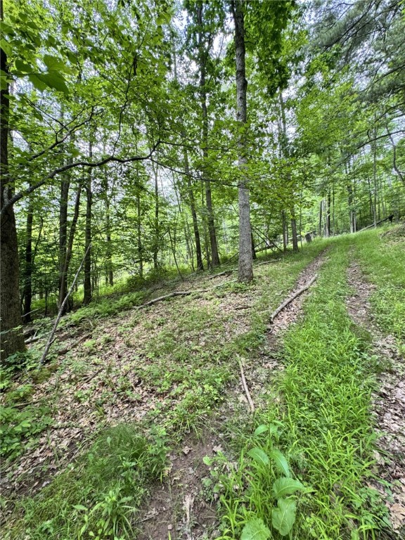 1029 Barden Brook Road Eldred, PA 16731 - Photo 5 of 49