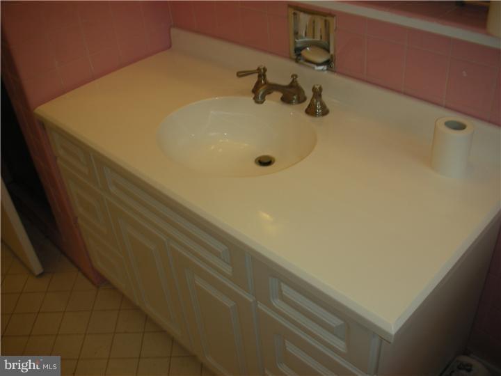 10 Rain Lily Road Levittown, PA 19056 - Photo 14 of 14 Master Bathroom