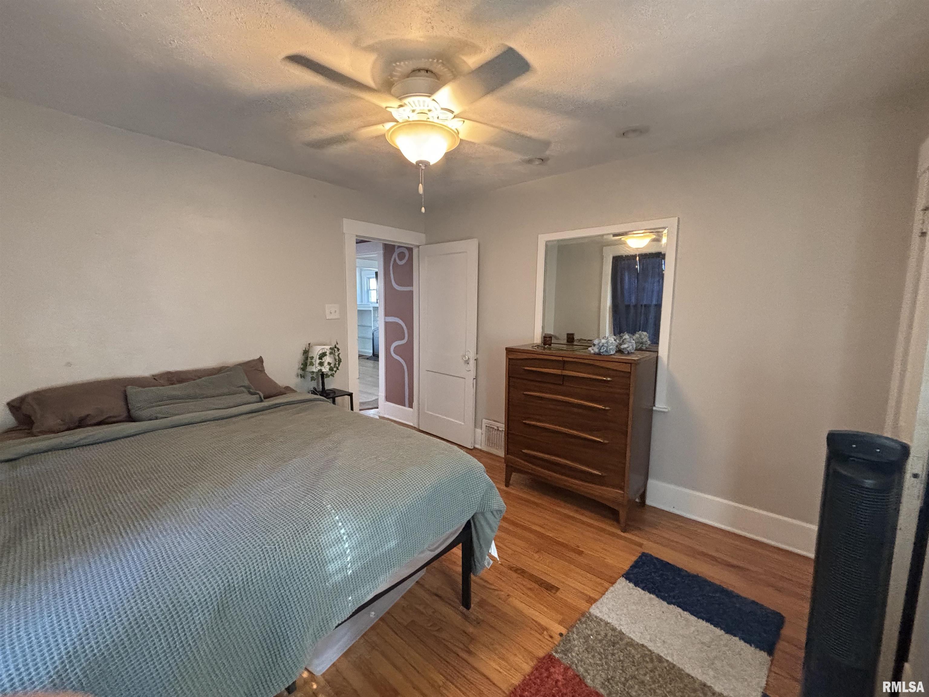 517 South Park Avenue Springfield, IL 62704 - Photo 13 of 23