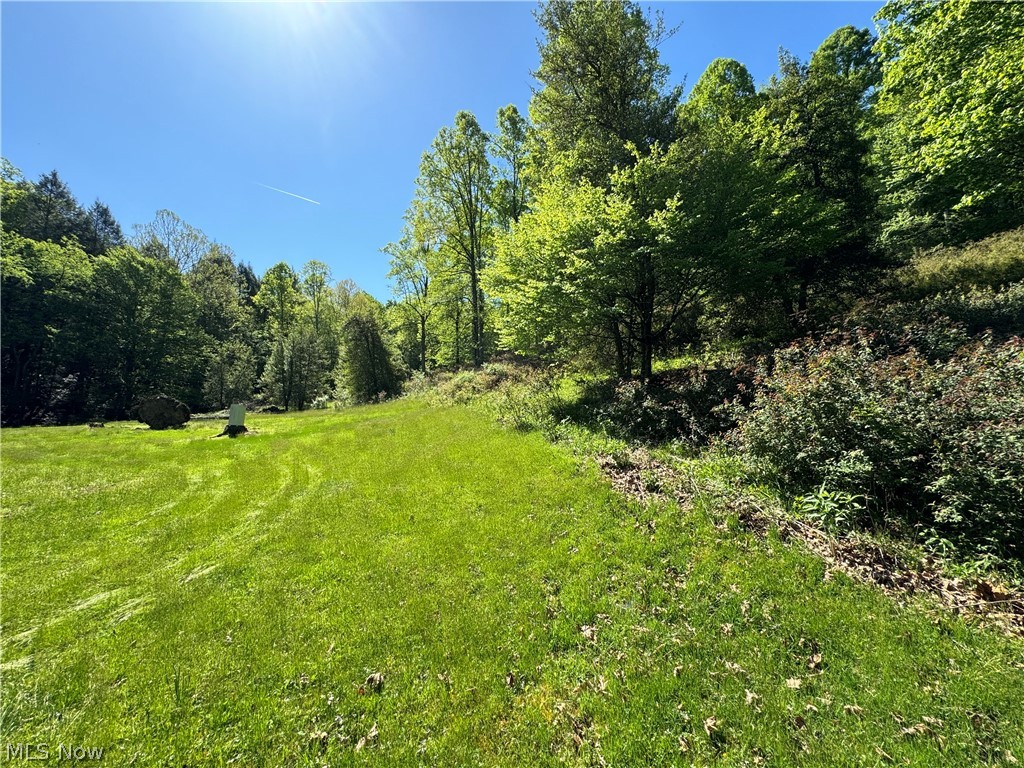 1185 Bens Run Road Sutton, WV 26601 - Photo 14 of 48 View of nature