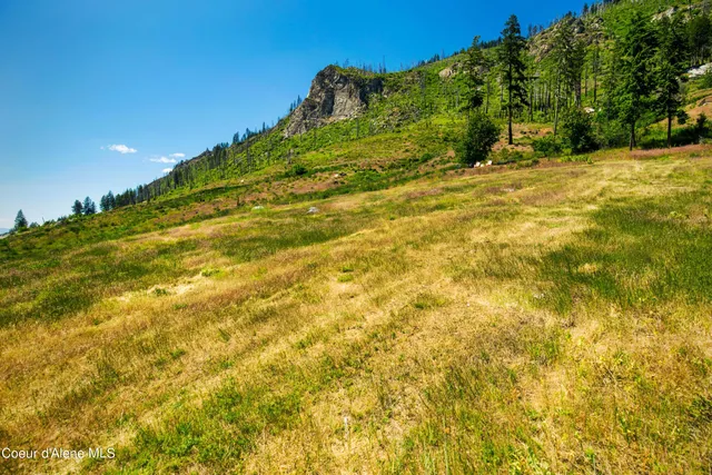 $499,000 | 3 Moose Track, Bayview, ID 83803