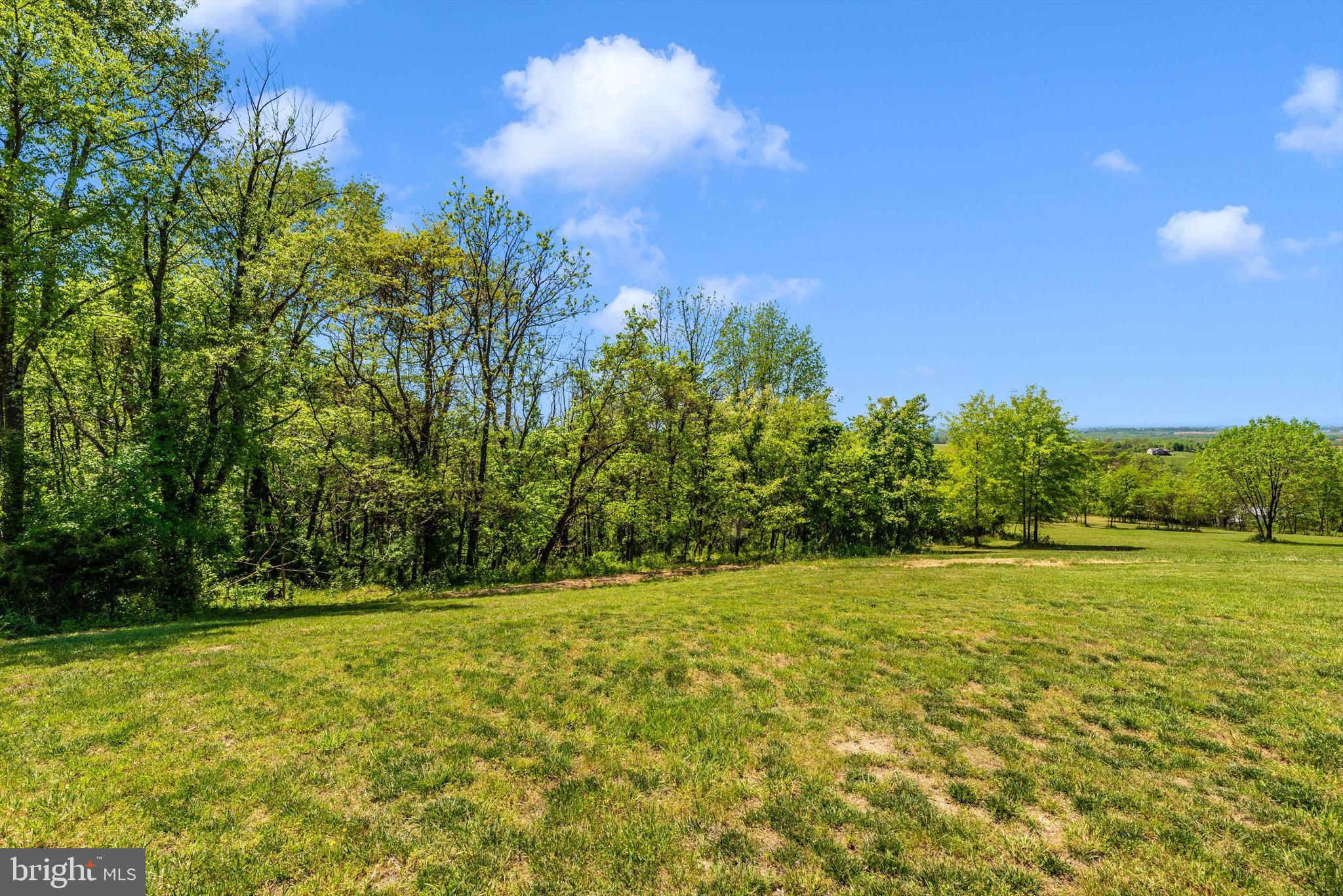 56 Clevelandtown-netz Road Boonsboro, MD 21713 - Photo 12 of 20