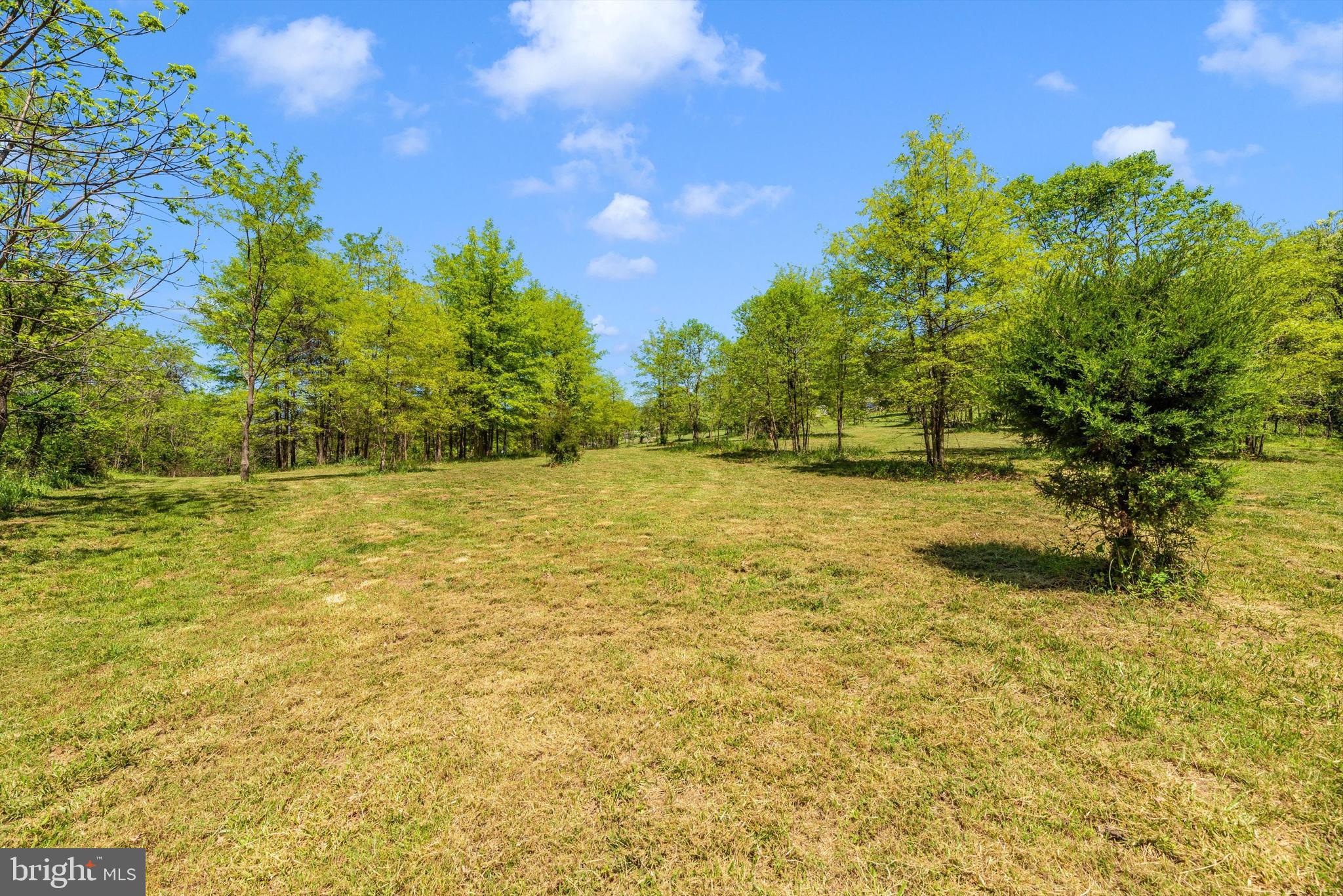 56 Clevelandtown-netz Road Boonsboro, MD 21713 - Photo 14 of 20