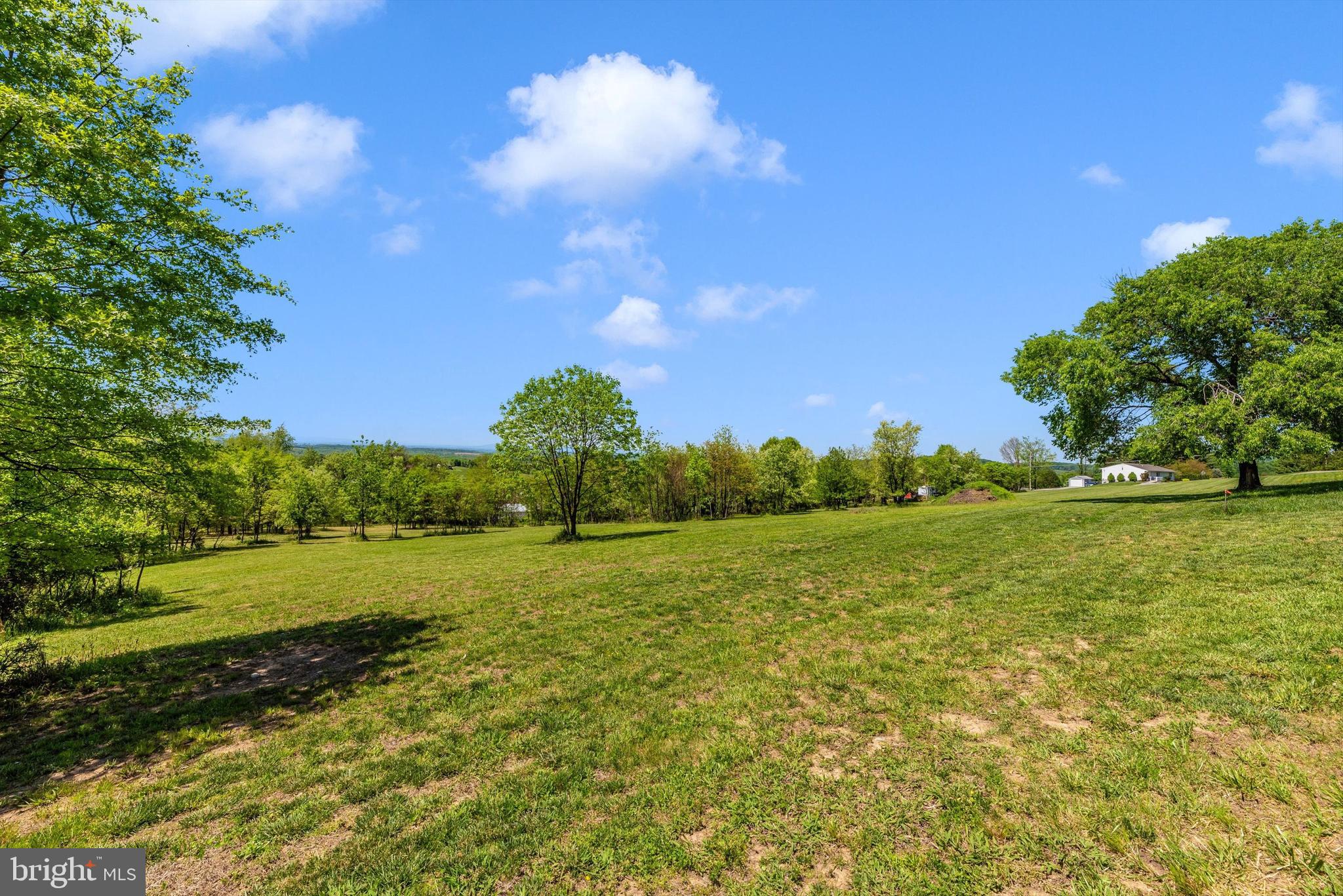 56 Clevelandtown-netz Road Boonsboro, MD 21713 - Photo 7 of 20