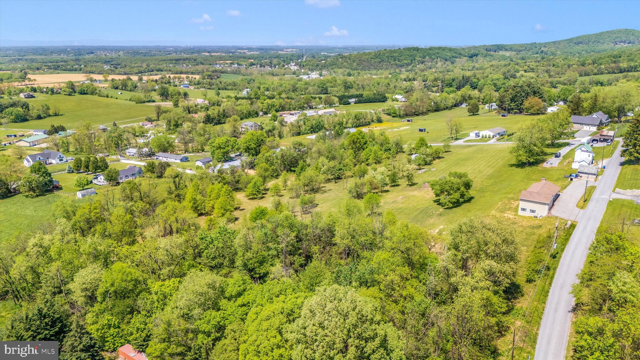 56 Clevelandtown-netz Road Boonsboro, MD 21713 - Photo 9 of 20