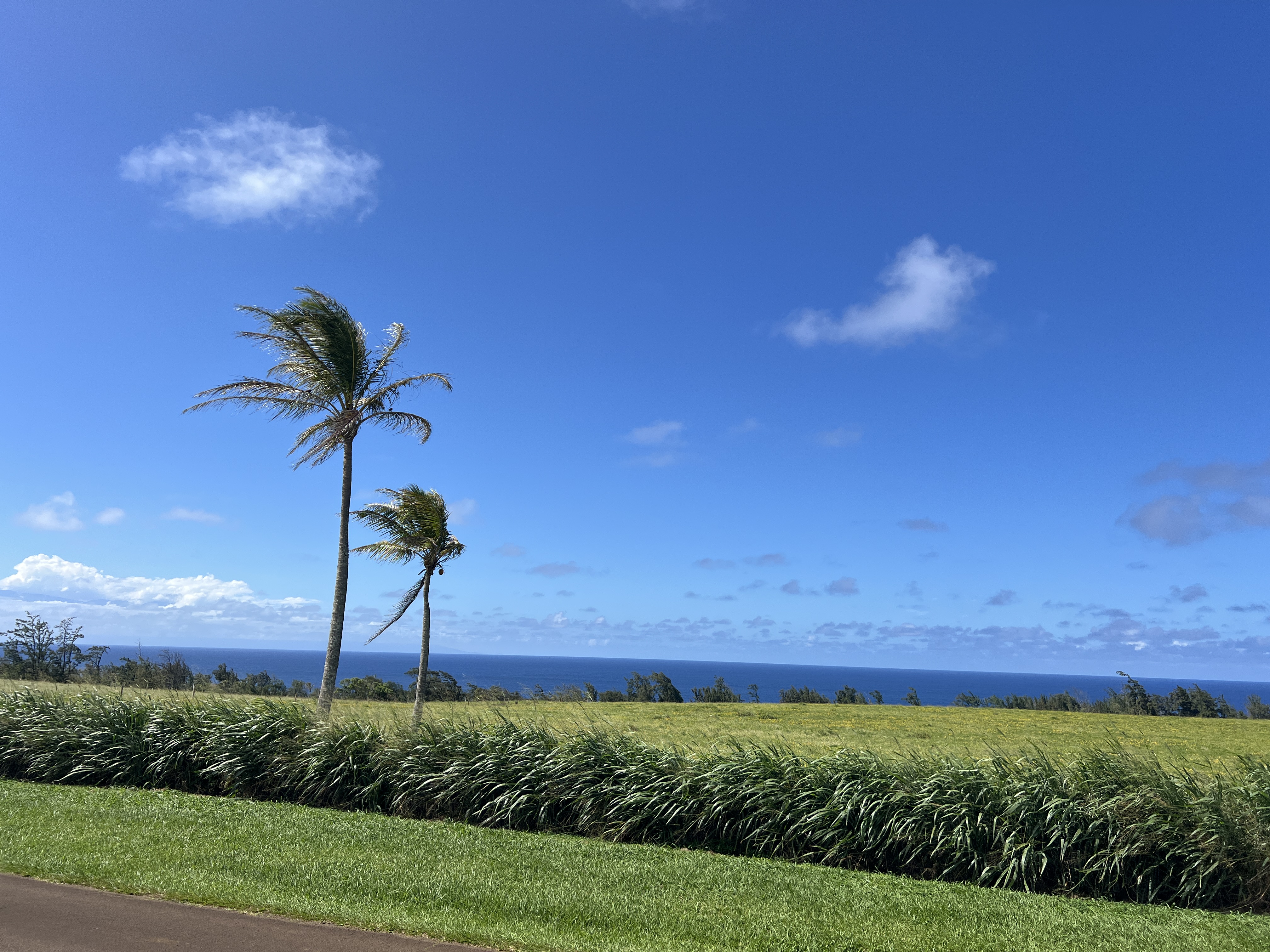 2 Uli Road Kapaau, HI 96755 - Photo 1 of 13