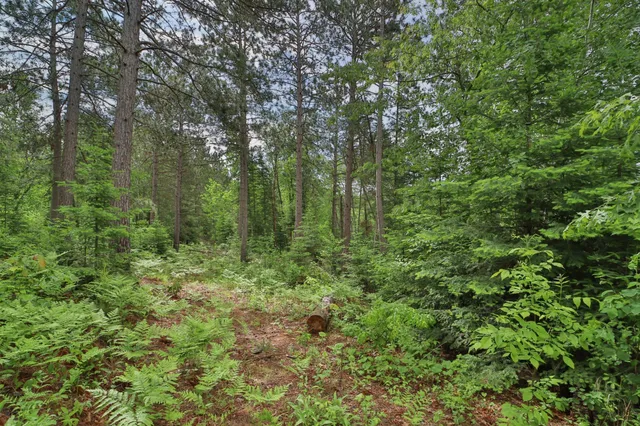 $535,000 | 21097 Gilmer Road, Crosby, MN 56441