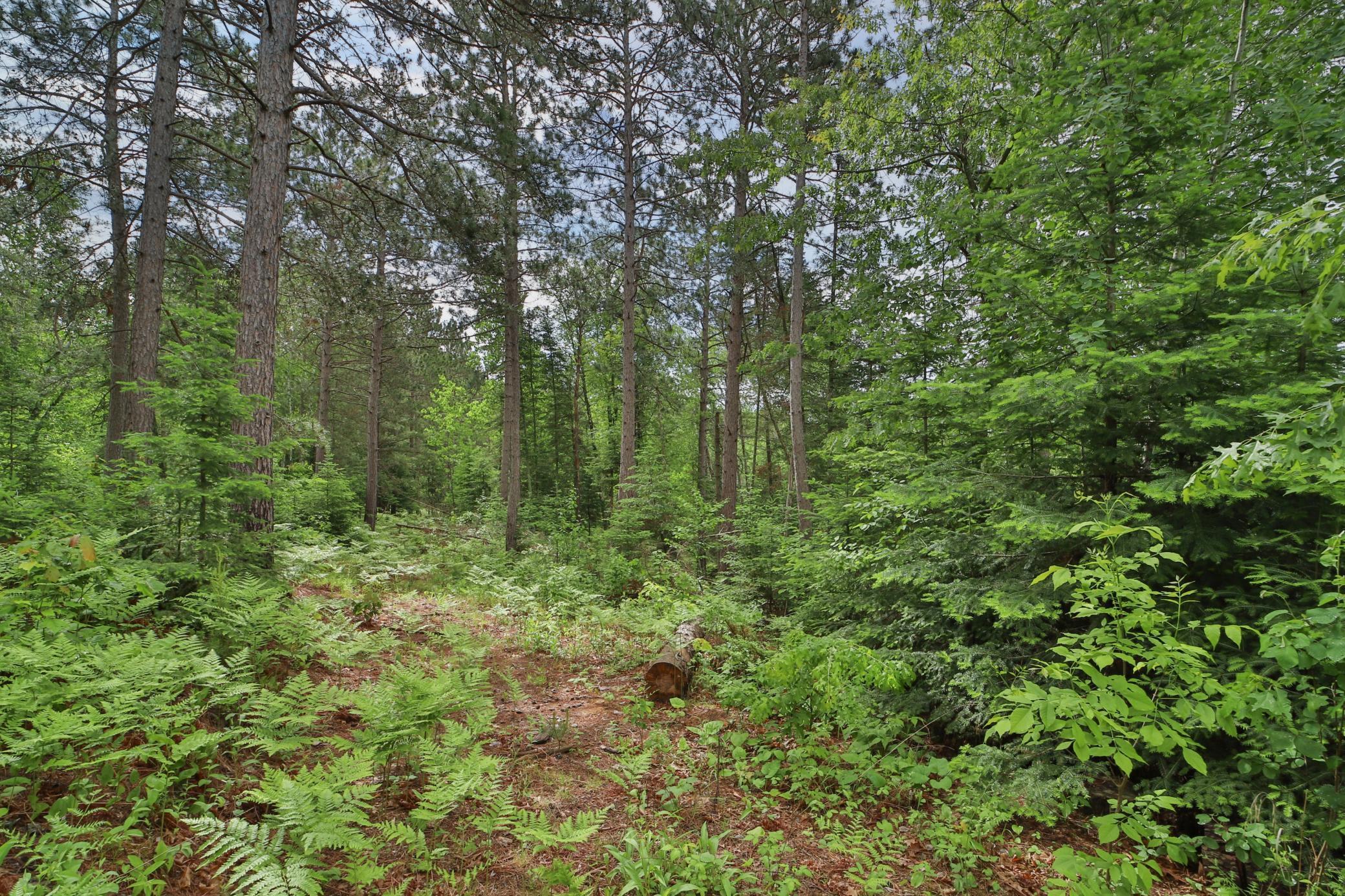 21097 Gilmer Road Crosby, MN 56441 - Photo 35 of 44