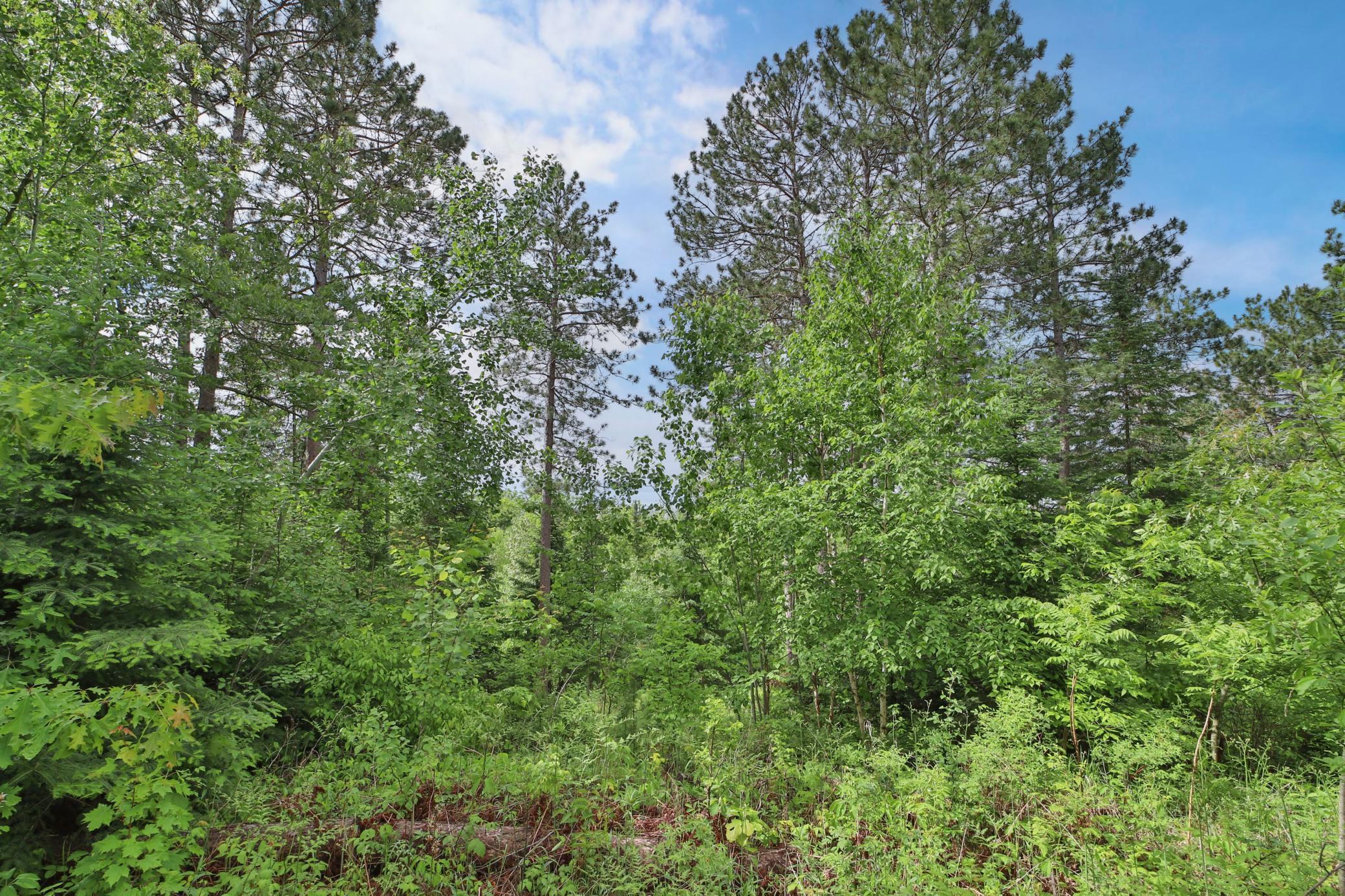 21097 Gilmer Road Crosby, MN 56441 - Photo 36 of 44