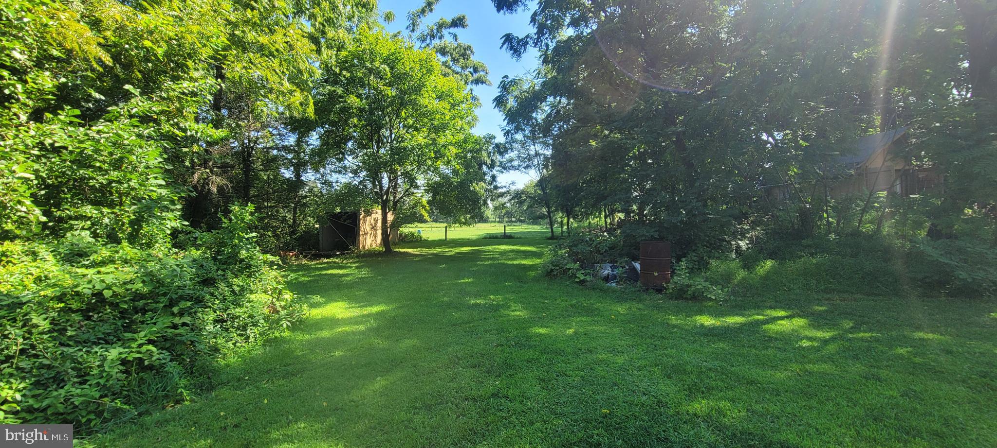 6677 Church Road Felton, PA 17322 - Photo 5 of 6 a green field with lots of bushes