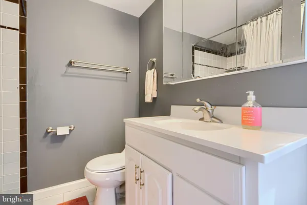 a bathroom with a sink and a toilet
