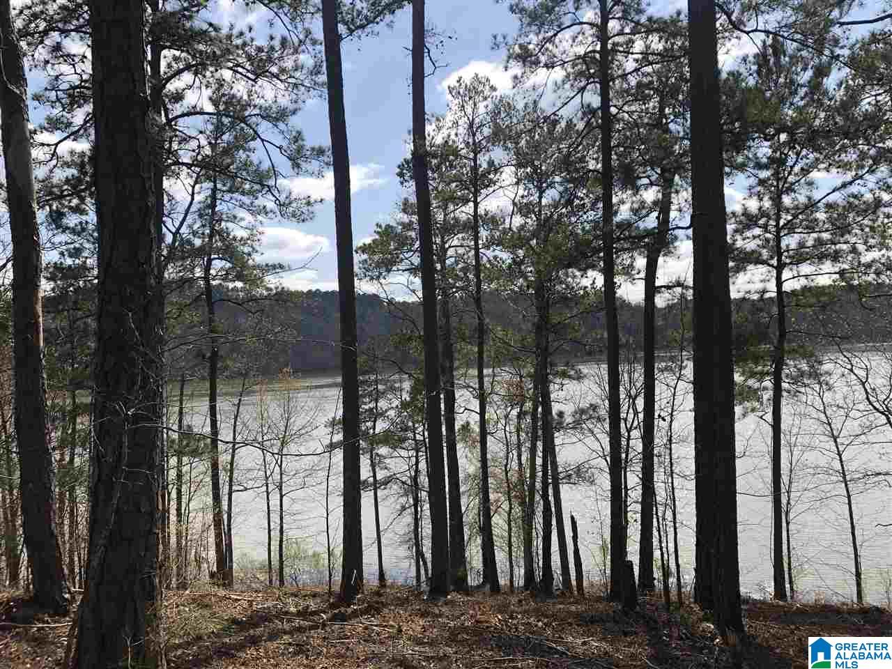Stillwaters Trail Sylacauga, AL 35151 - Photo 11 of 30