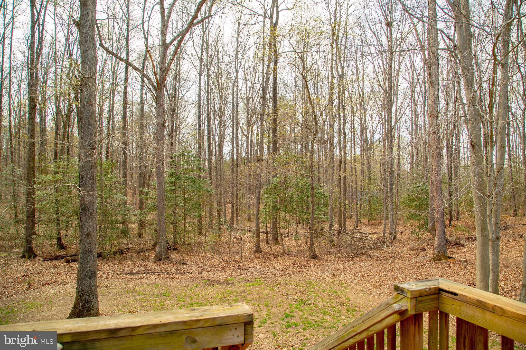 2828 Lewiston Road Bumpass, VA 23024 - Photo 54 of 55