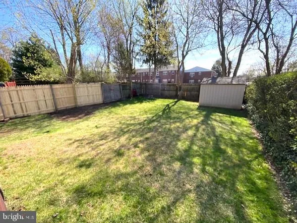 a view of backyard with tree