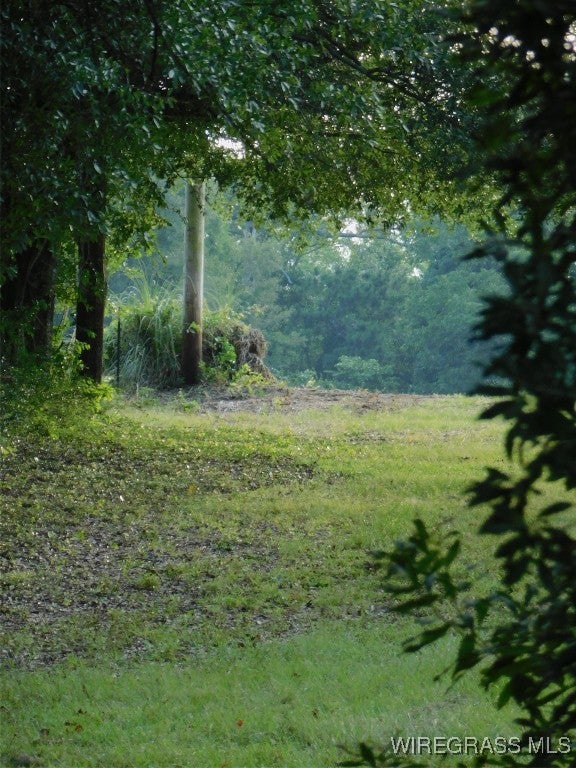0 Lucy Road Andalusia, AL 36421 - Photo 10 of 12 Gallery Image 10