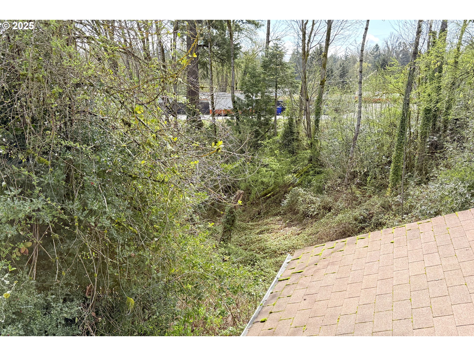 325 Morton Road Oregon City, OR 97045 - Photo 20 of 45 Gallery Image 20