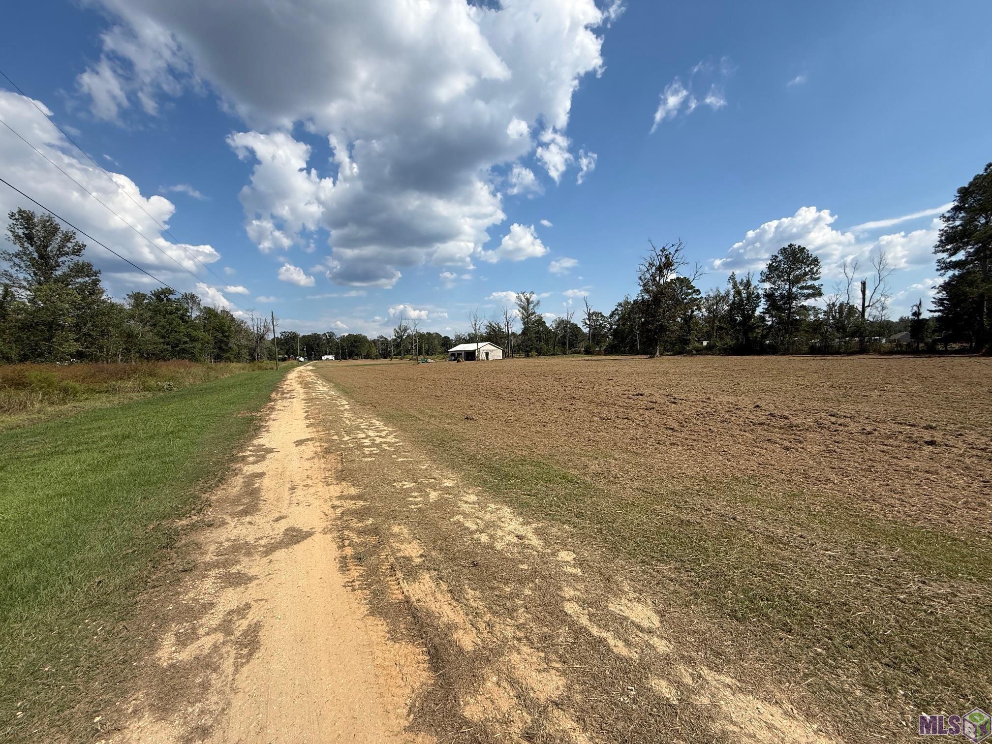 35712 Weiss Road Walker, LA 70785 - Photo 3 of 16