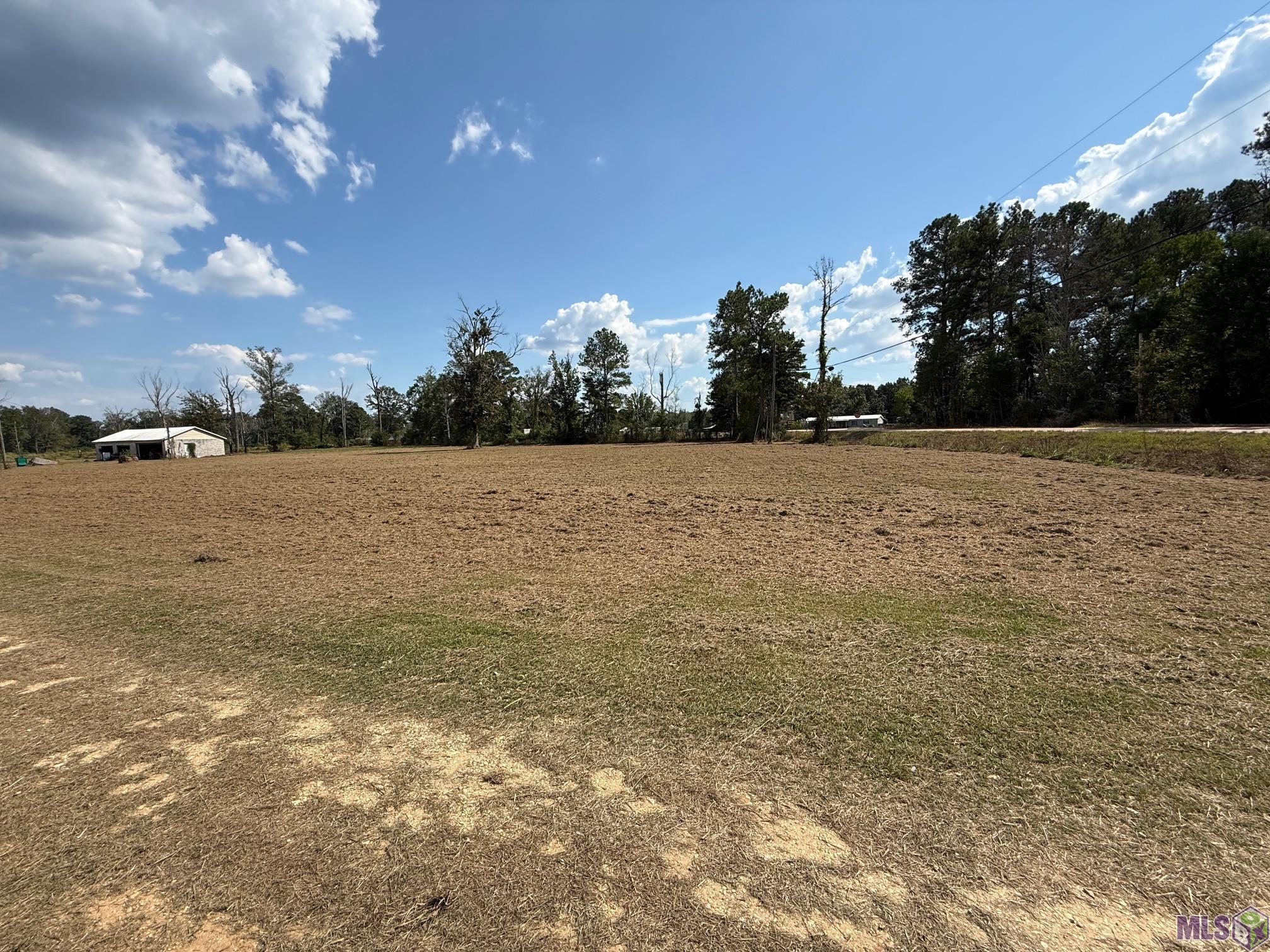 35712 Weiss Road Walker, LA 70785 - Photo 4 of 16