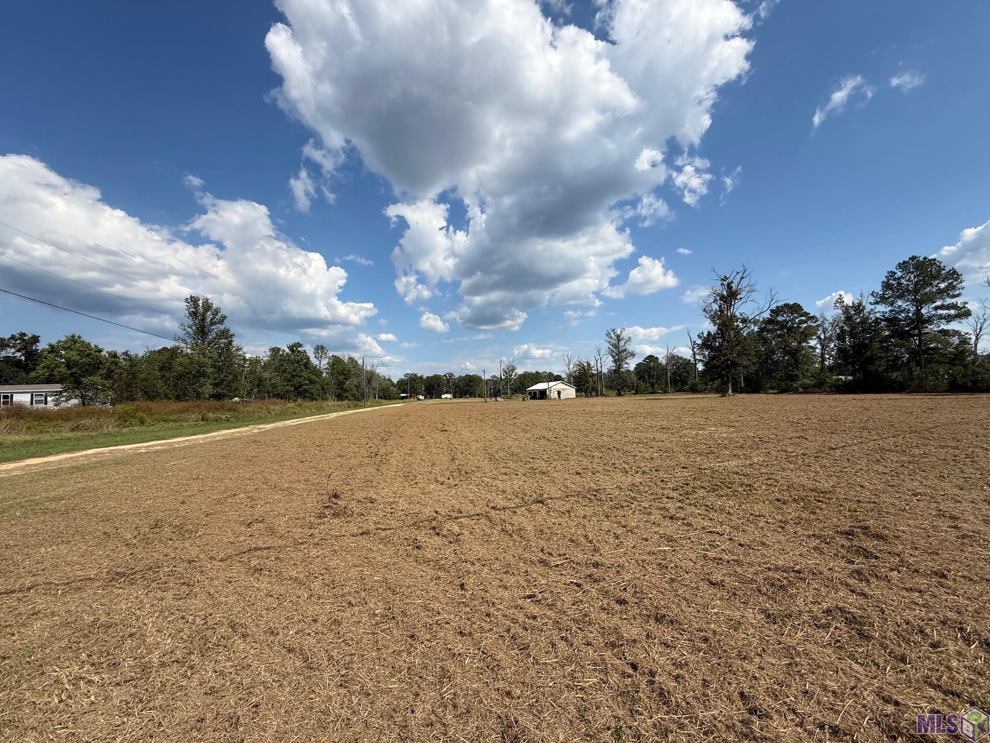 35712 Weiss Road Walker, LA 70785 - Photo 5 of 16