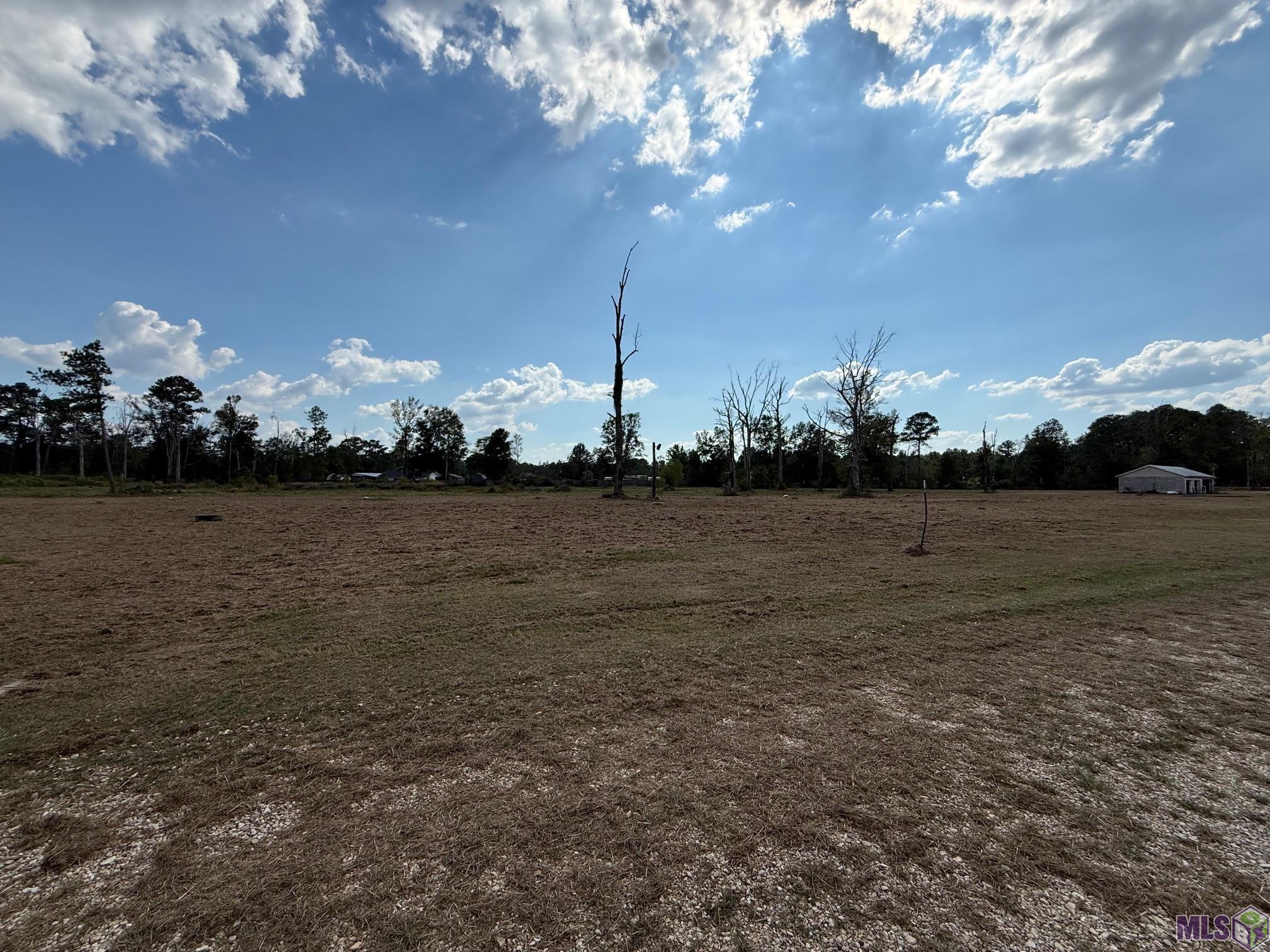 35712 Weiss Road Walker, LA 70785 - Photo 6 of 16