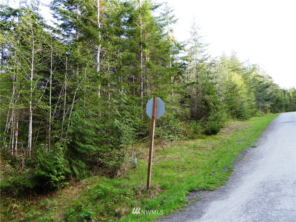 9999 Durwachter Road Port Angeles, WA 98363 - Photo 1 of 1 Gallery Image 1