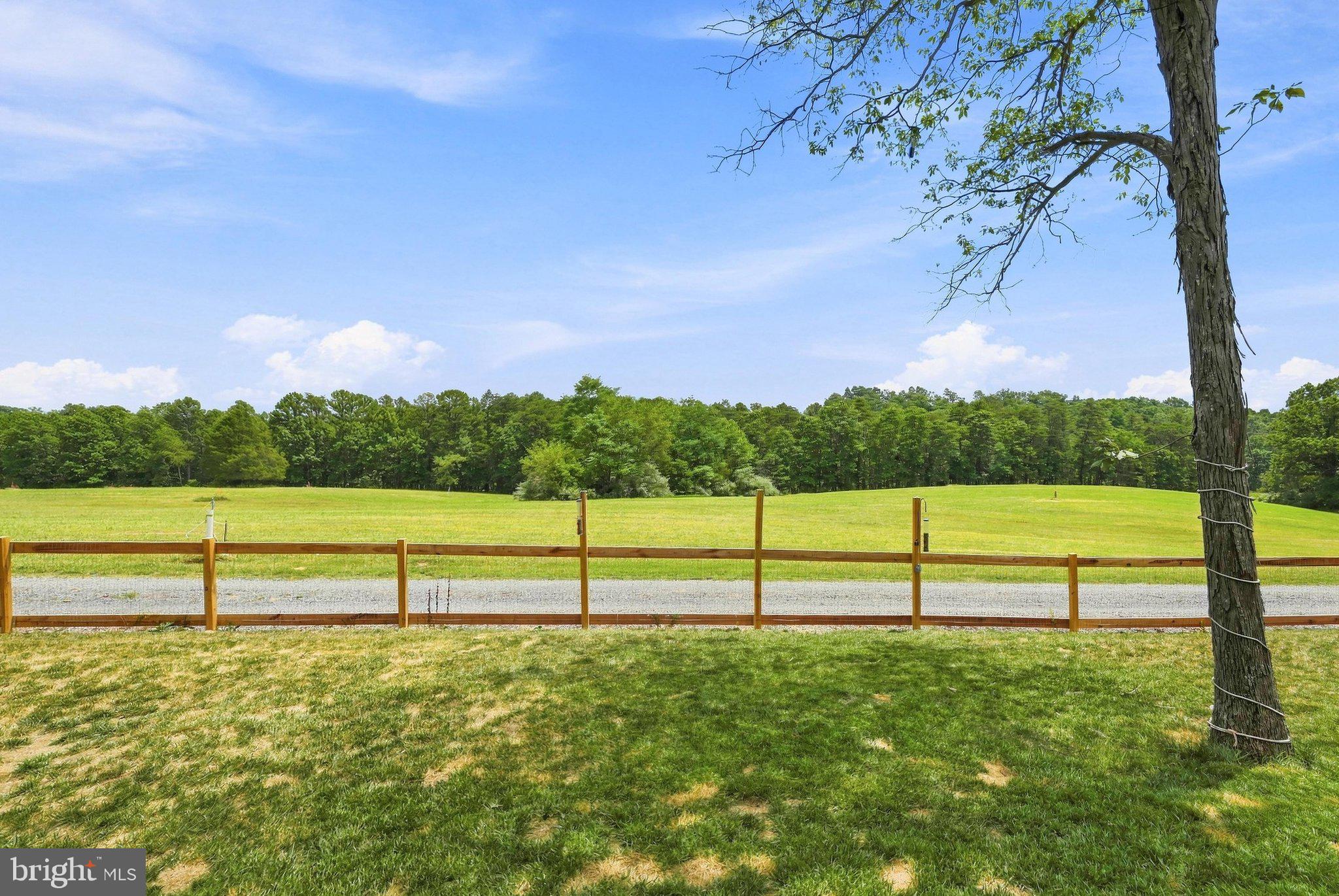 125 Holiday Road Cross Junction, VA 22625 - Photo 53 of 98 Backyard