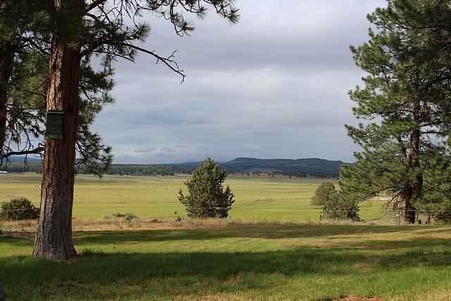 22779 Sprague River Road Chiloquin, OR 97624 - Photo 22 of 23 Additional Photo