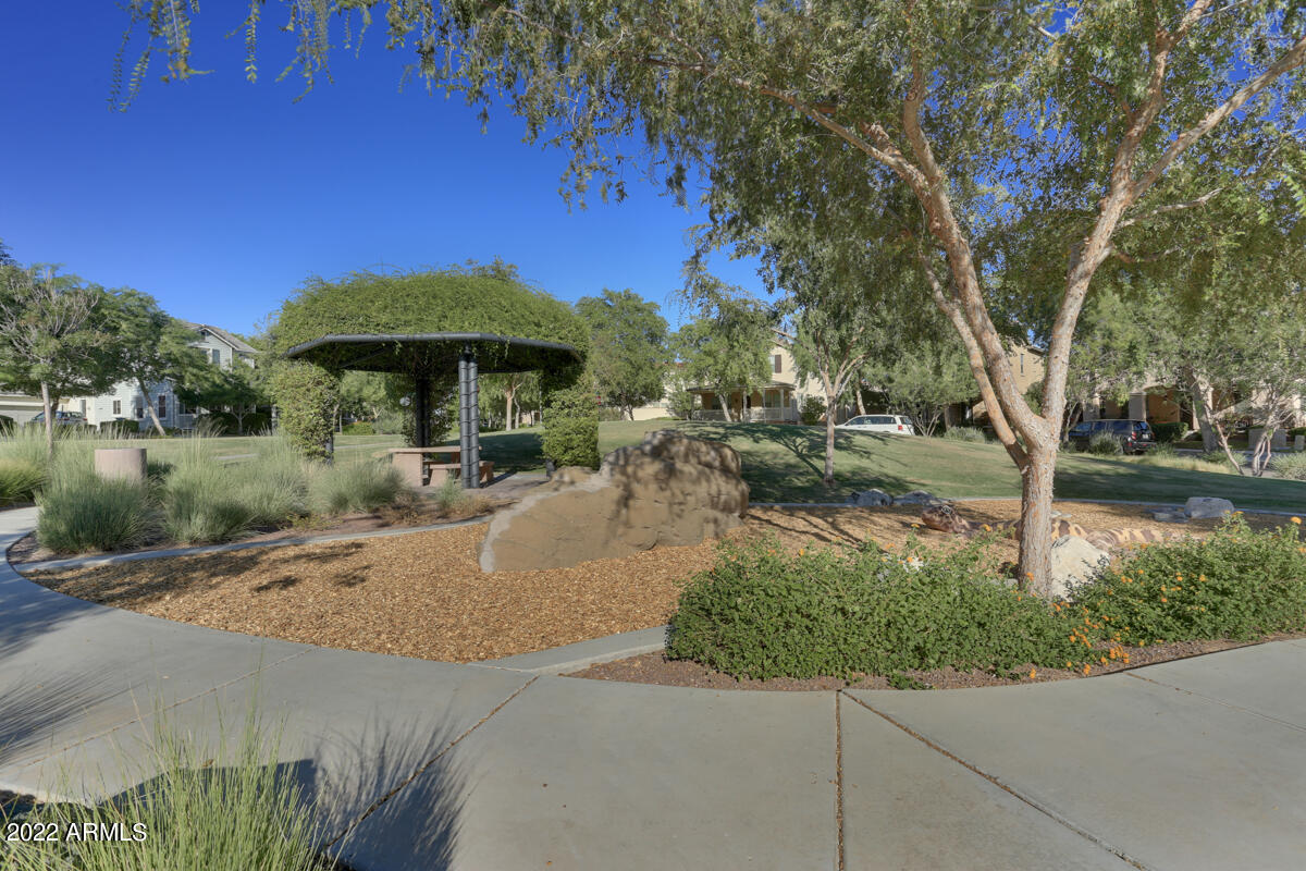 20937 West Thomas Road Buckeye, AZ 85396 - Photo 58 of 61 TurtlePark