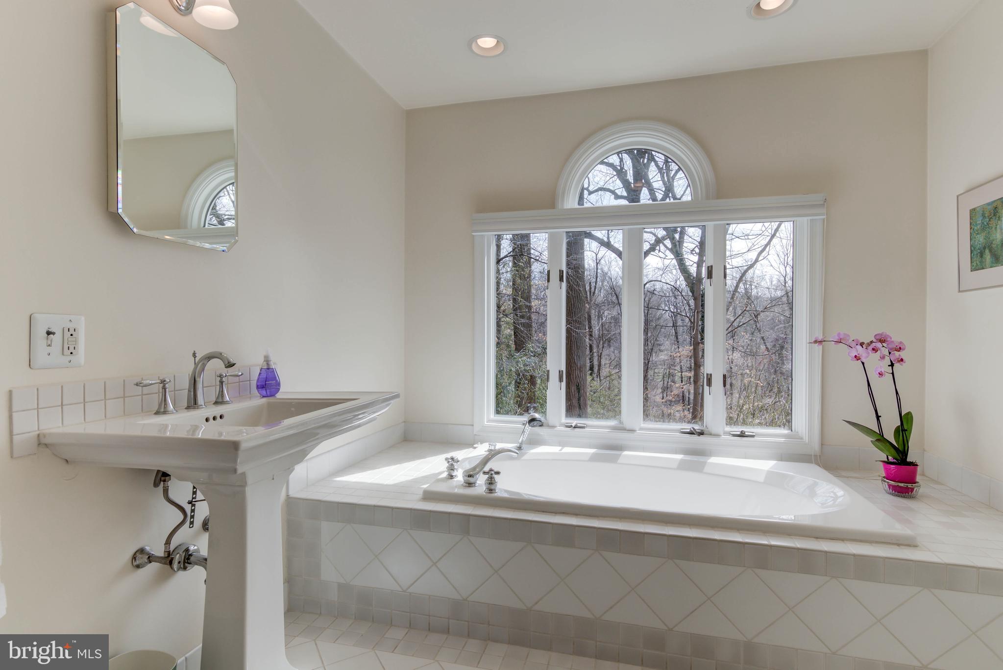 349 Oak Terrace Wayne, PA 19087 - Photo 14 of 28 Expansive Master Bathroom with Tub